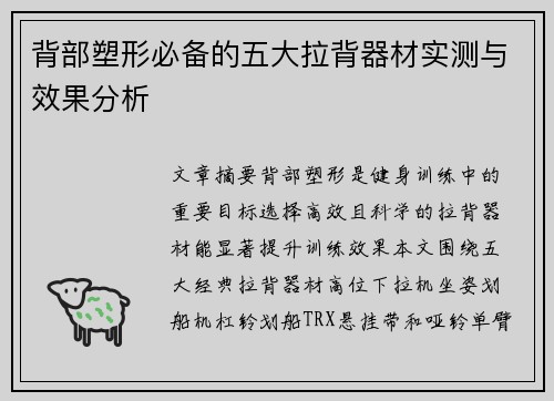 背部塑形必备的五大拉背器材实测与效果分析