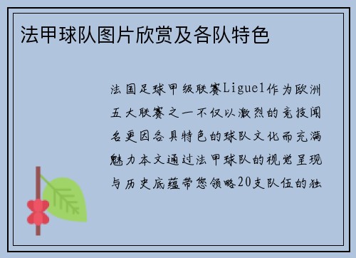 法甲球队图片欣赏及各队特色